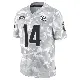 ＃14 Youth Mac Hippenhammer Arctic Camo Limited Cincinnati Bengals 2024 Salute to Service Jersey